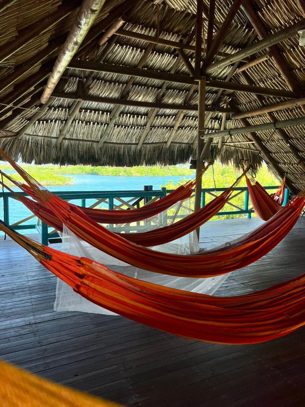 Hotel El Arca à Tintipan Island Extérieur photo